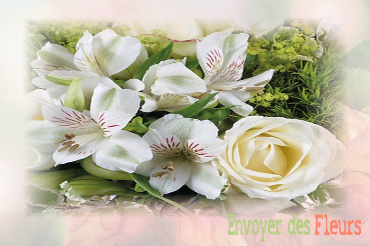 envoyer des fleurs à à DOMMARTIN-AUX-BOIS